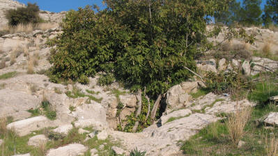 The entrance to incirli cave, Cinarli, near Iskele, North Cyprus