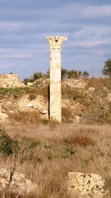 The remaining standing column at the Agora, Salamis, near Famagusta, North Cyprus